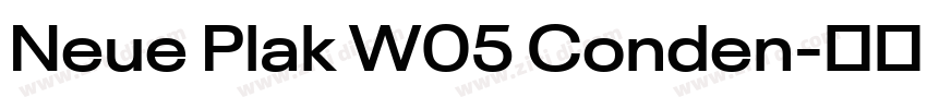 Neue Plak W05 Conden字体转换